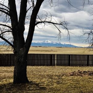 Meet your Posher, Brenda